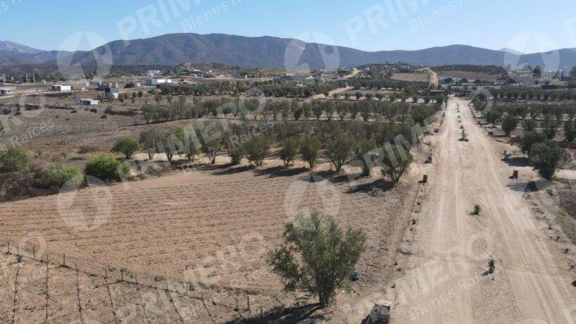 Terreno en Venta en Valle de Guadalupe PMR-2926