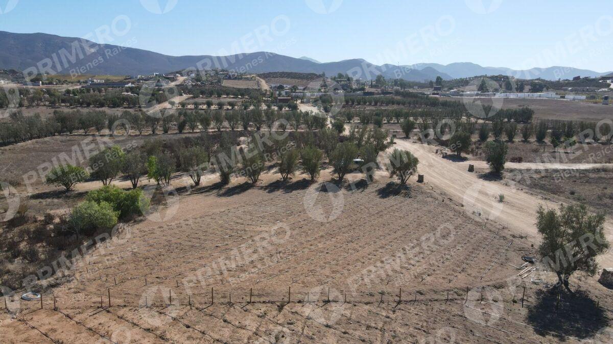 Terreno en Venta en Valle de Guadalupe PMR-2926