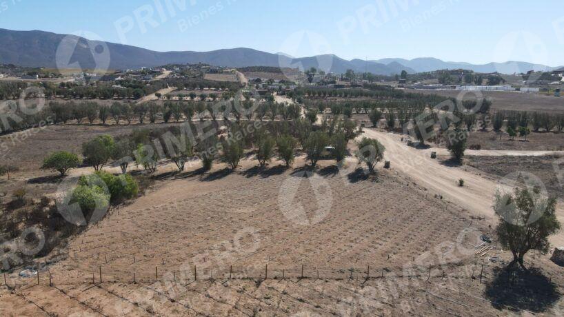 Terreno en Venta en Valle de Guadalupe PMR-2926